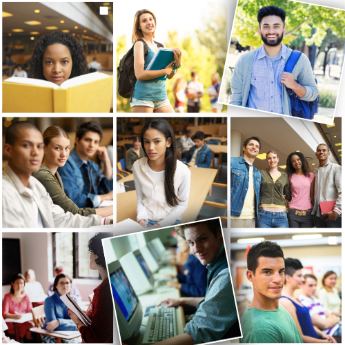 Therapist for College Students in NJ