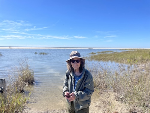 Maplewood Counseling Compassionate, Down to Earth Care